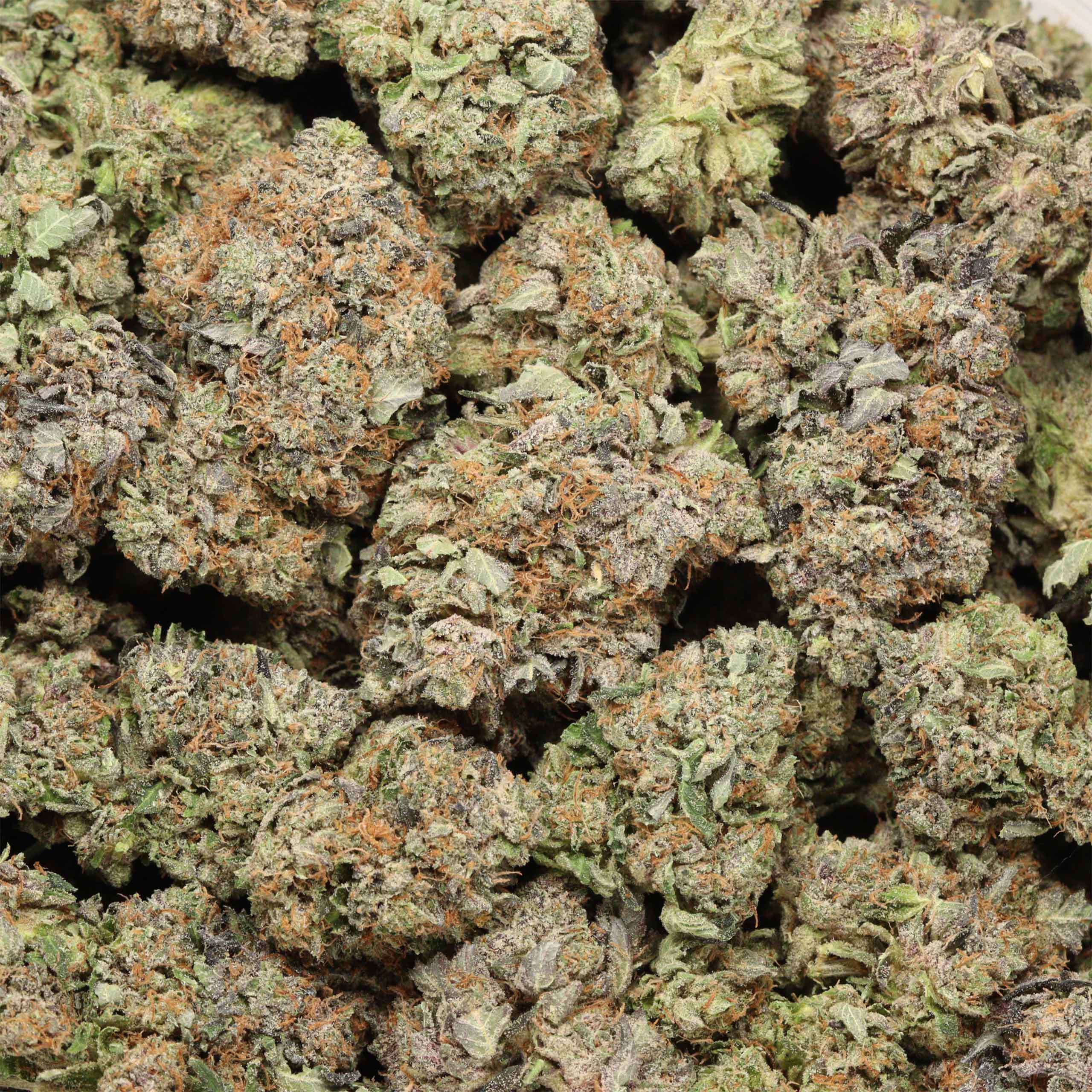Caviar Pink Kush - Image 3