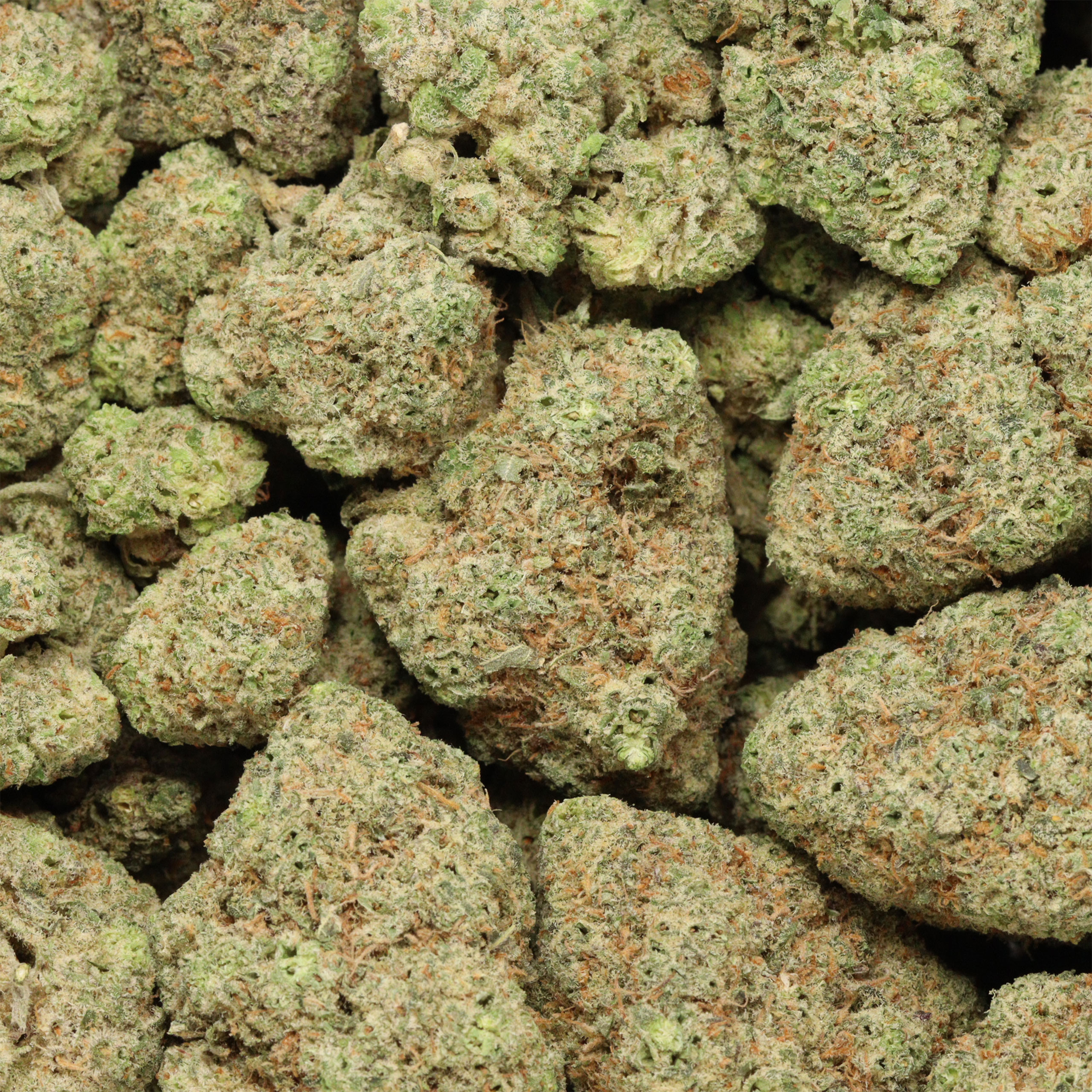 Donkey Butter - Image 3