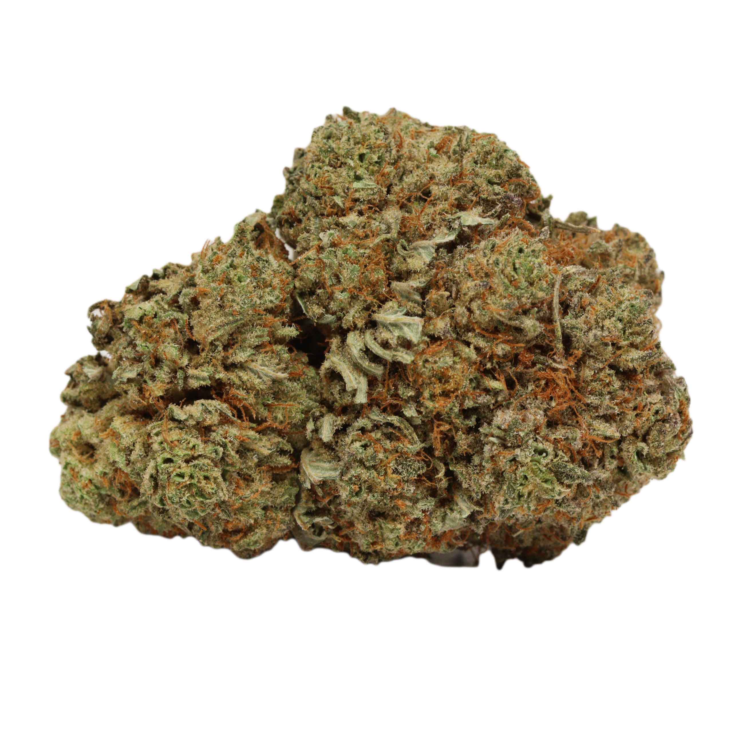 Dos Diablo - Image 2