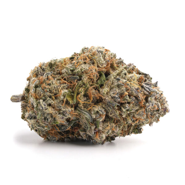 Jack Herer - Image 2