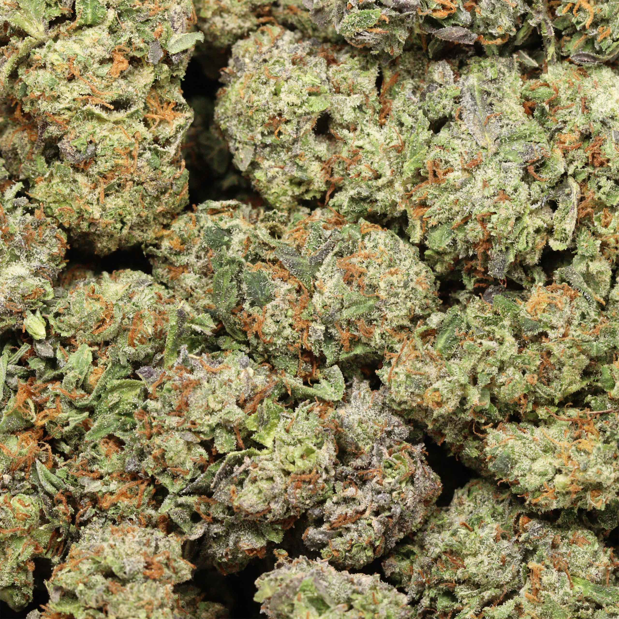 London Truffle - Image 3