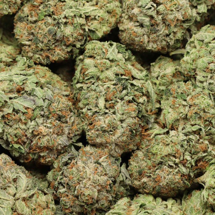 Master Kush - Image 3