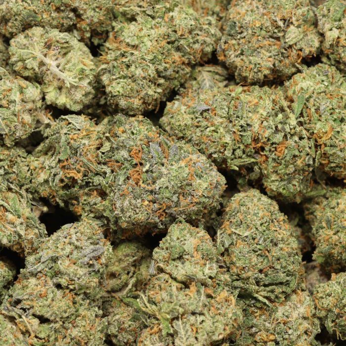 Mataro Blue - Image 3