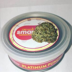 Platinum Punch Smart Buds