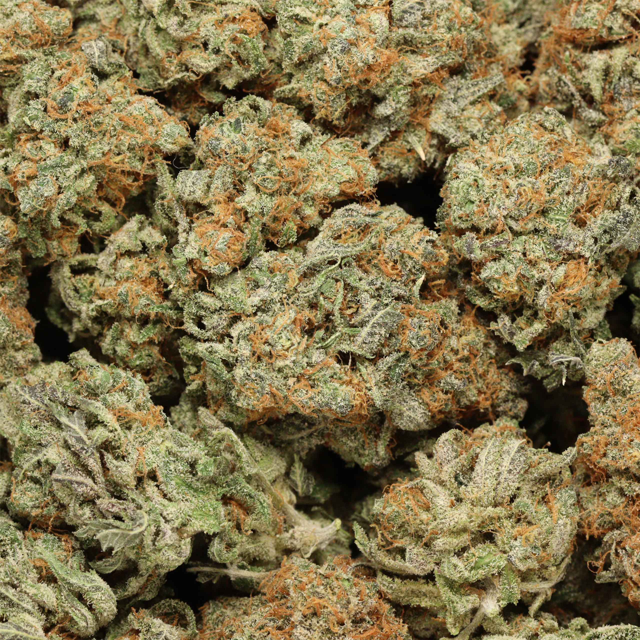 PINEAPPLE EXPRESS - Image 3