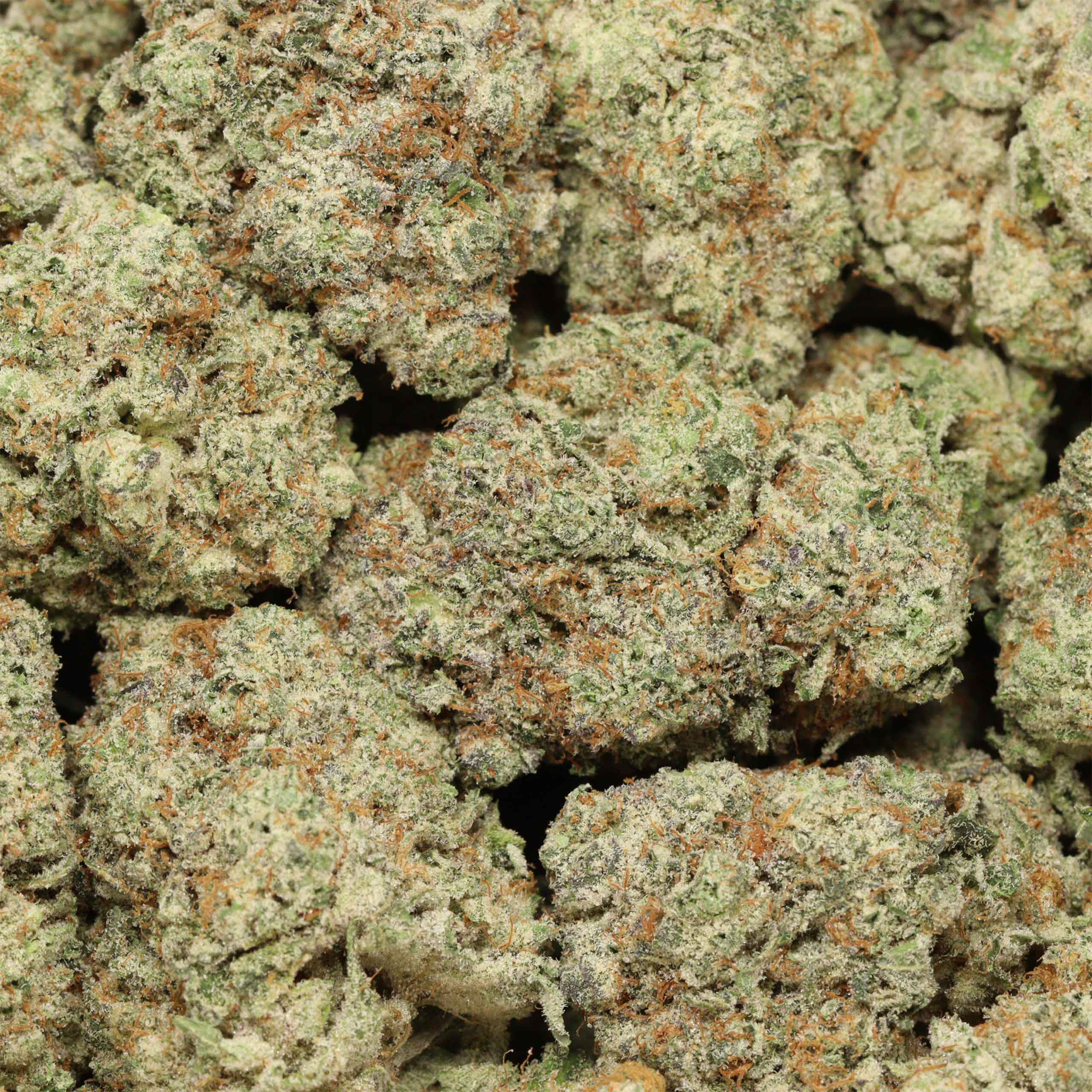 Quantum Kush AAAA+ Sativa Craft By Fore House - Image 3