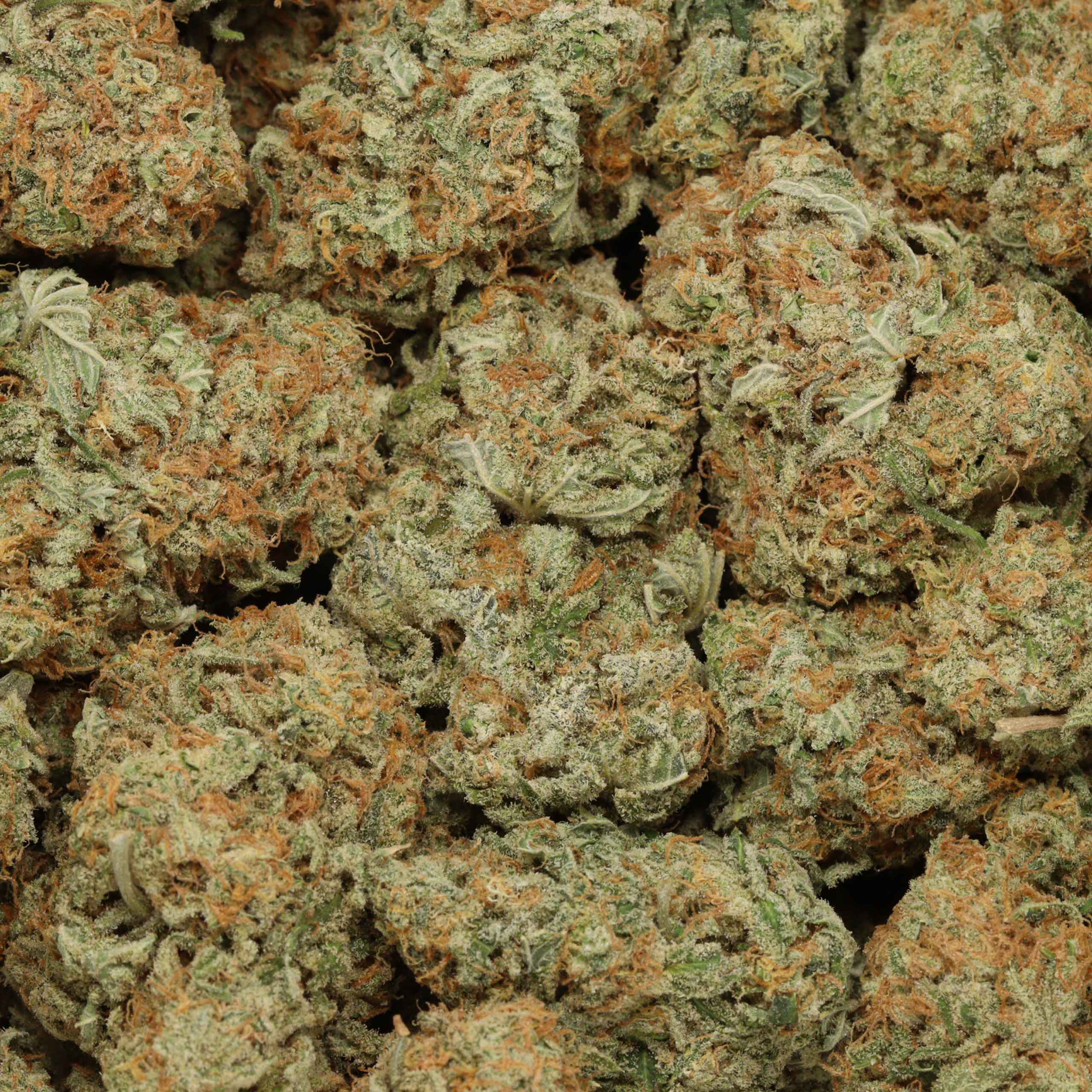 Silver Surfer - Image 3