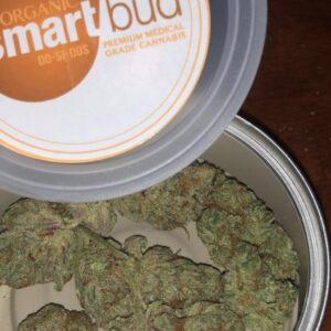 Smart Buds