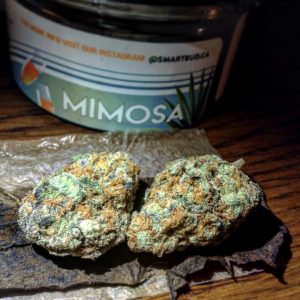 Mimosa Smart Buds